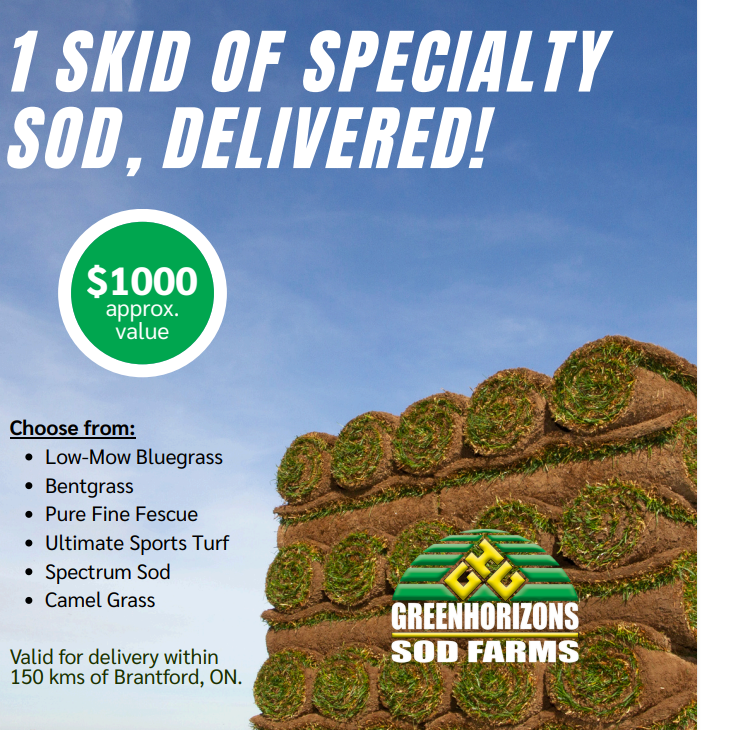 Screenshot 2026-01-14 161246