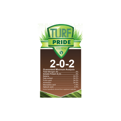 Untitled design (12)